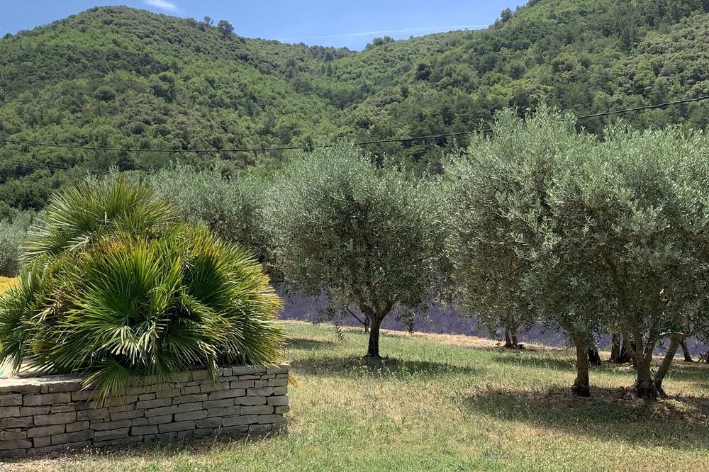 Photo of Outdoor in Oraison