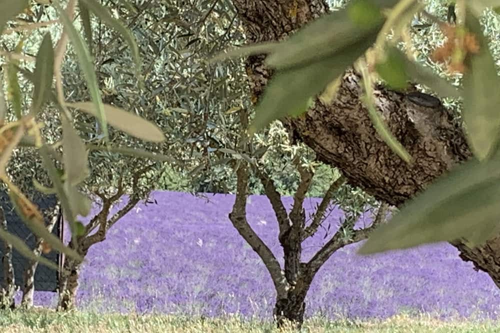 Photo of Outdoor in Oraison