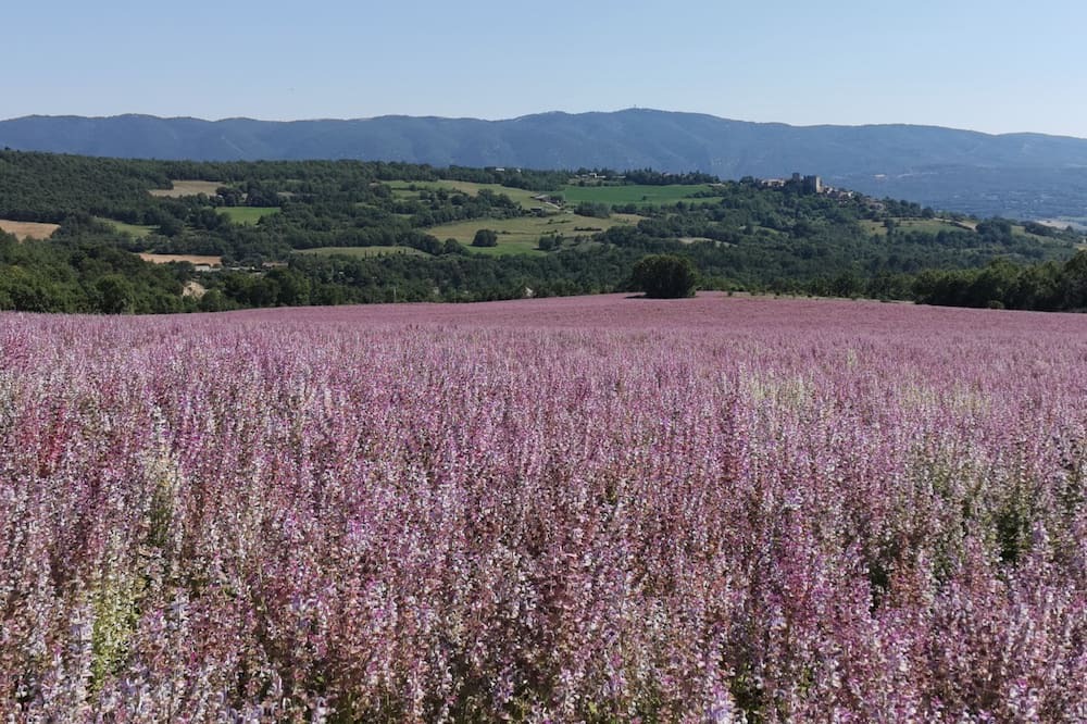 Photo of Outdoor in Simiane-la-Rotonde