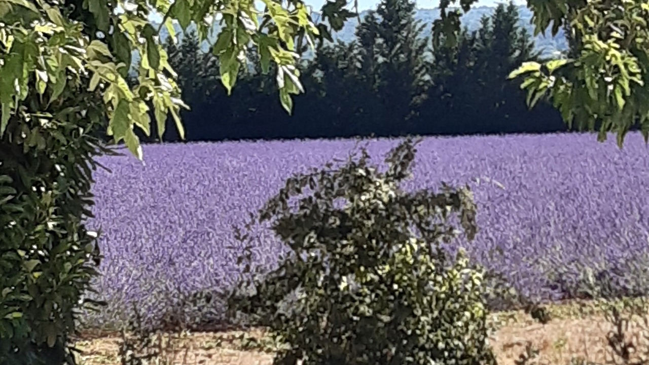 Photo of Outdoor in Oppede