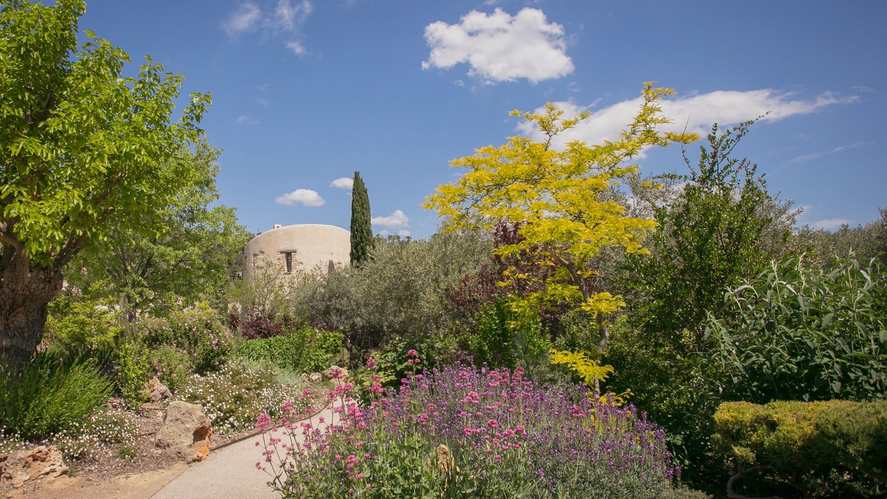Photo of Outdoor in Cotignac