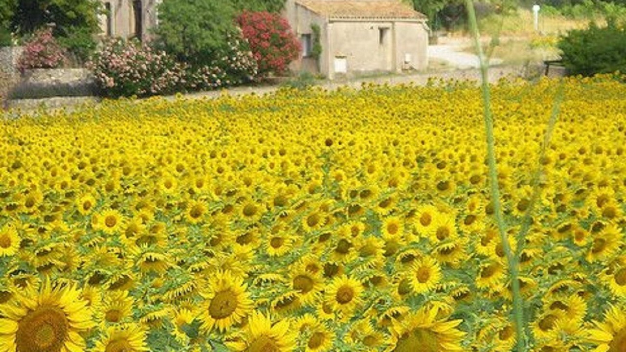 Photo of Outdoor in Saint-Saturnin-les-Apt