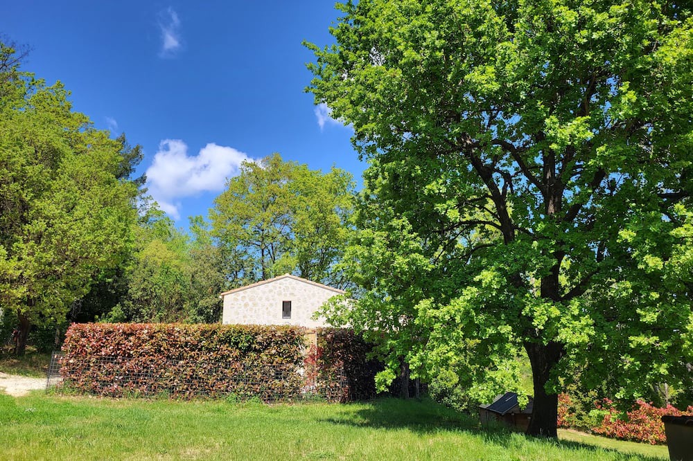 Photo of Outdoor in La Roquebrussanne