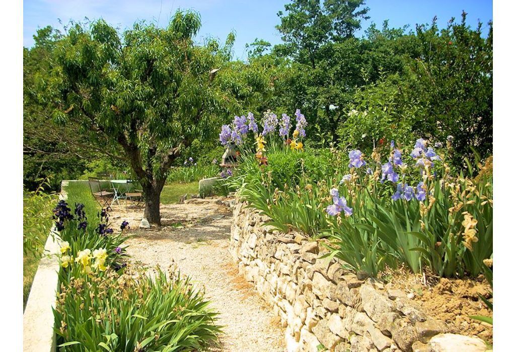 Photo of Outdoor in Saint-Martin-de-Castillon