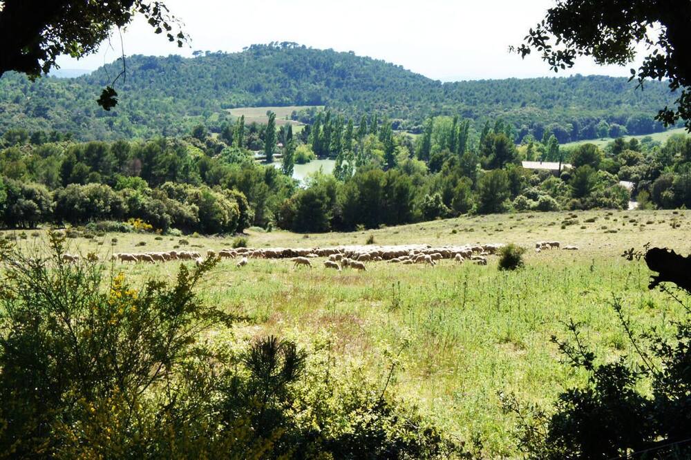 Photo of Outdoor in Tourtour