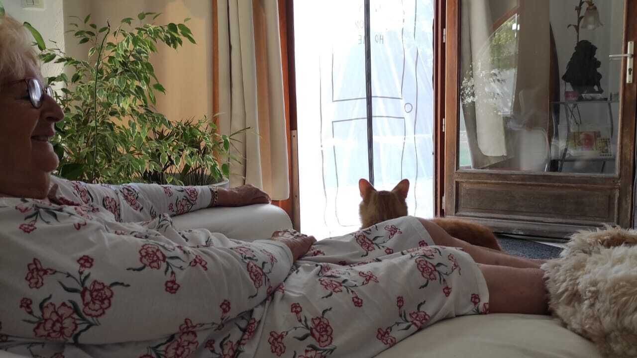 Photo of Others in Orange