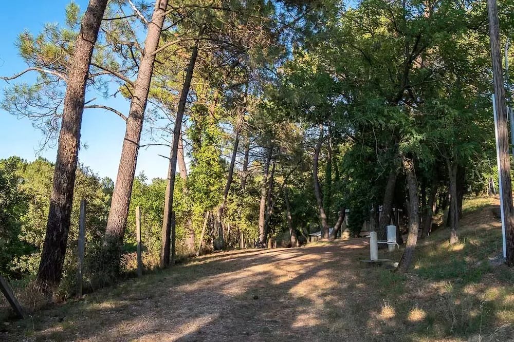 Photo of Outdoor in Mondragon