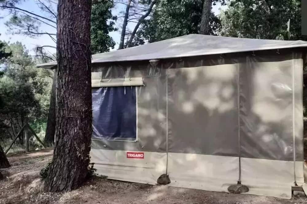 Photo of Outdoor in Mondragon