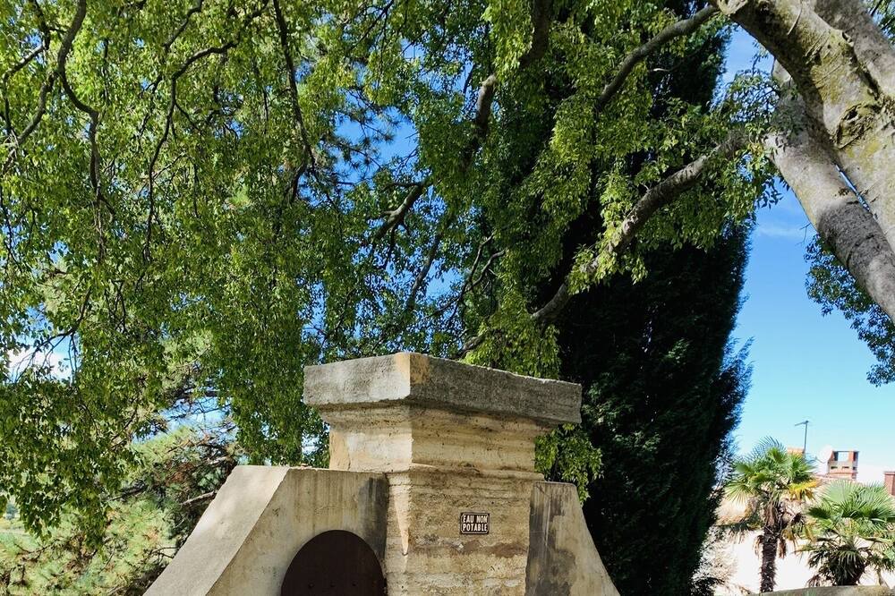 Photo of Others in La Roque-sur-Pernes