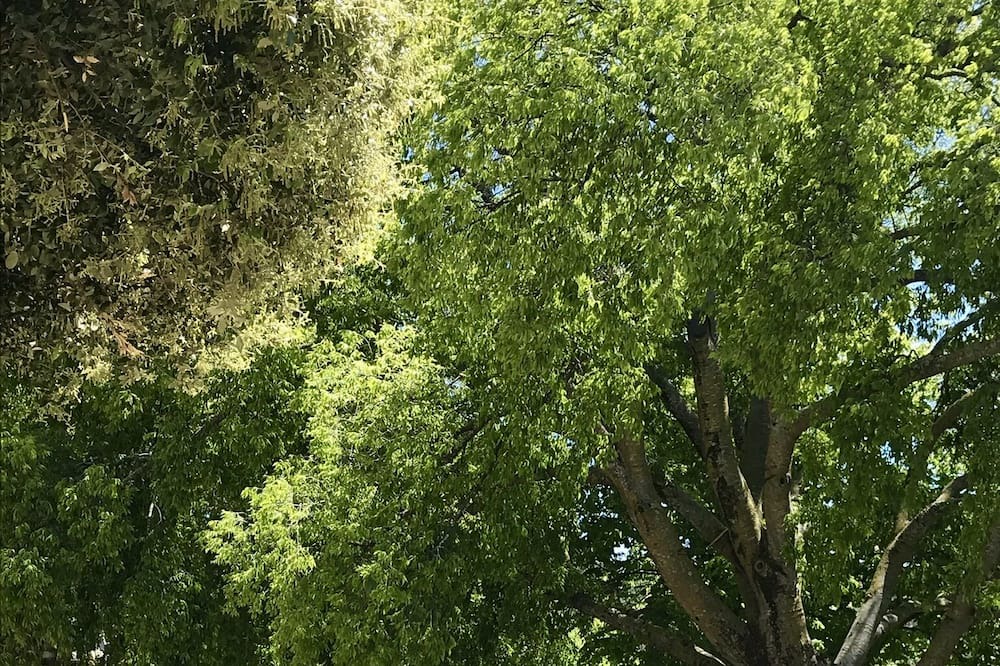 Photo of Outdoor in La Roque-sur-Pernes