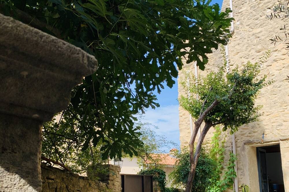 Photo of Outdoor in La Roque-sur-Pernes