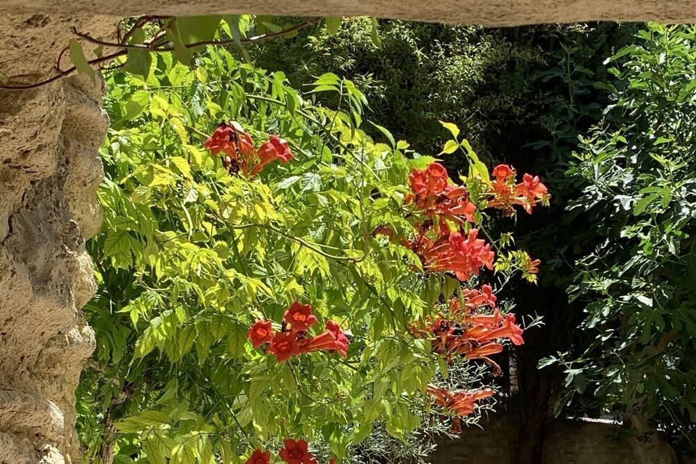 Photo of Outdoor in La Roque-sur-Pernes