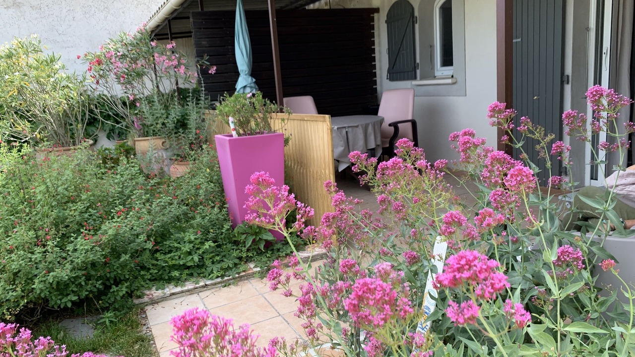 Photo of Outdoor in Orange