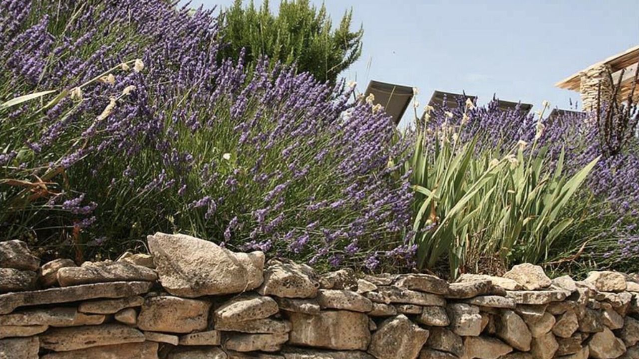 Photo of Outdoor in Villemus