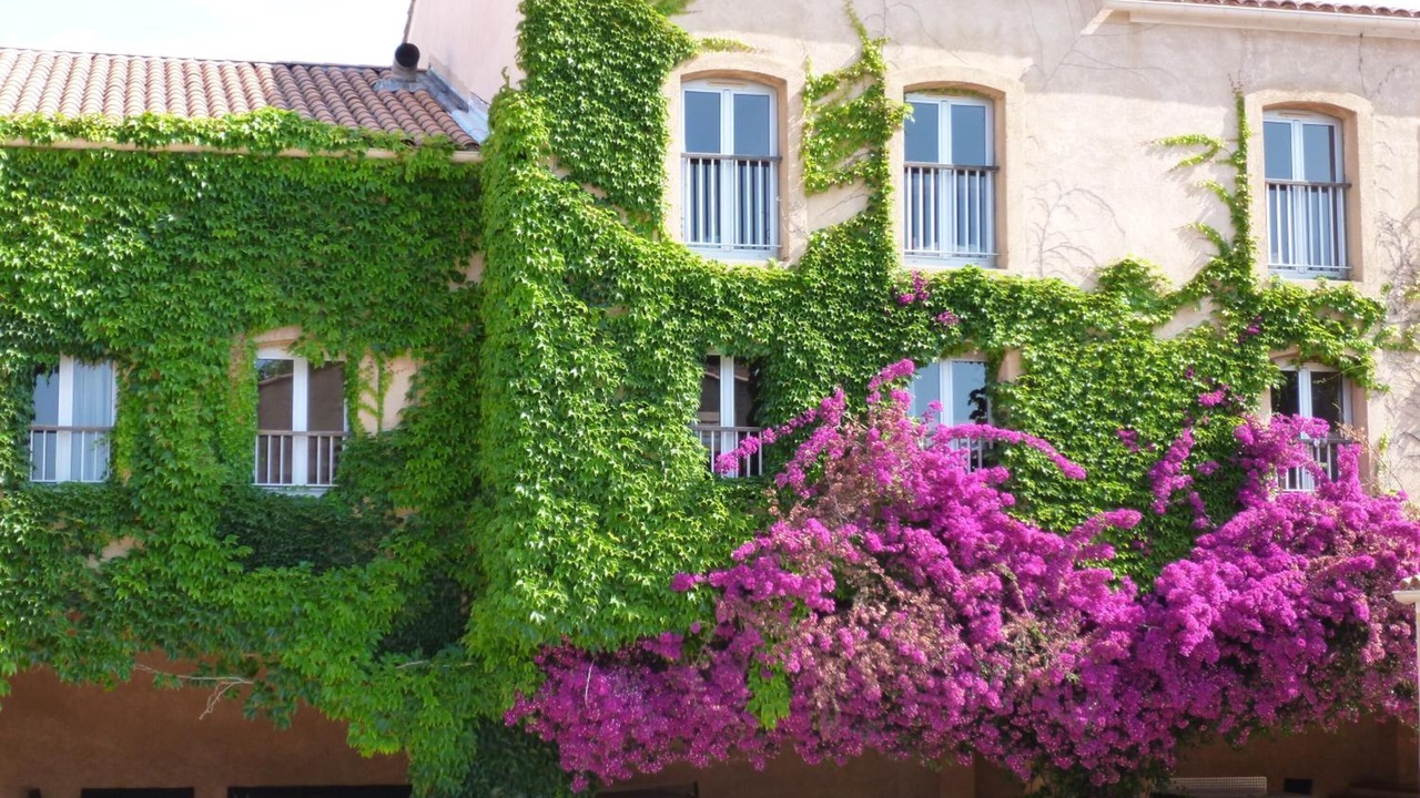Photo of Outdoor in Les Bormettes