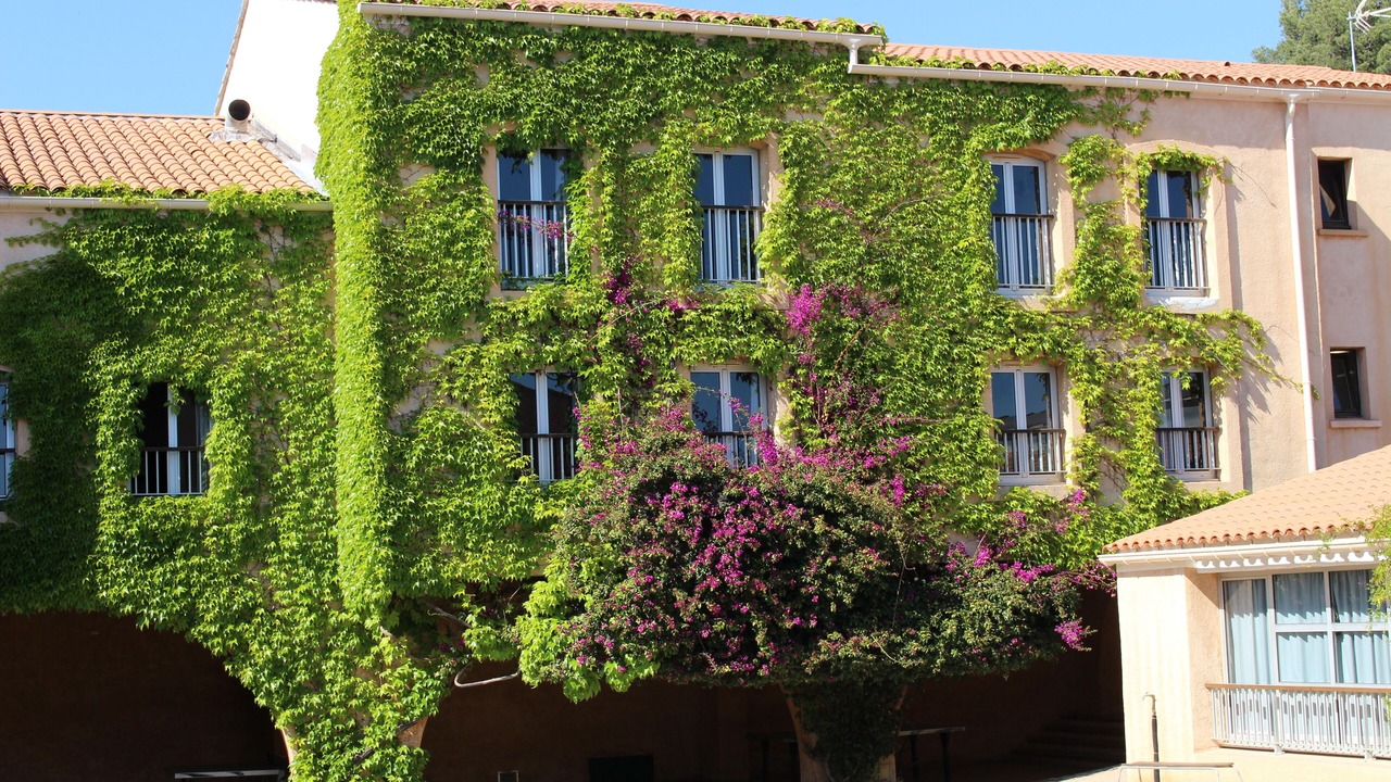 Photo of Outdoor in Les Bormettes