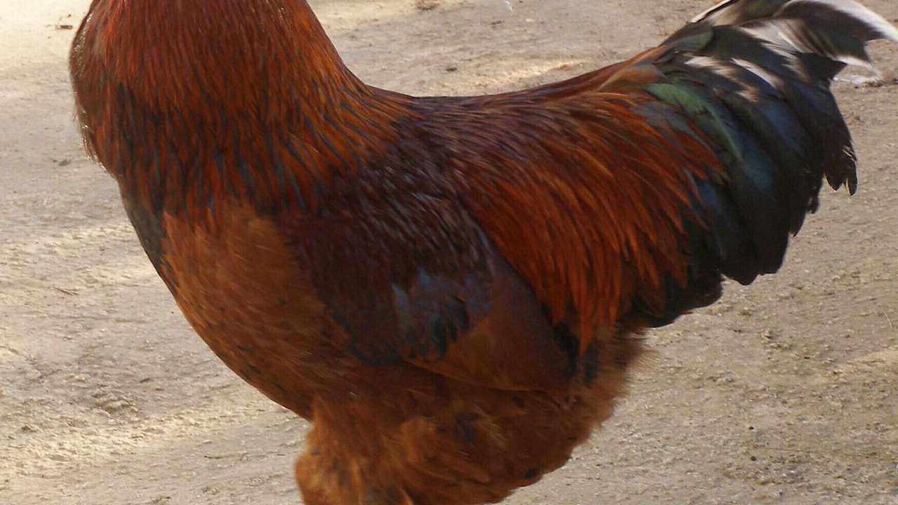 Photo of Others in Mouries