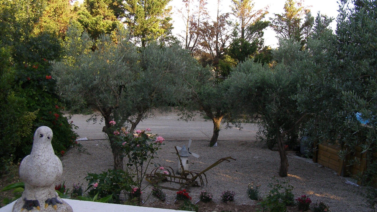 Photo of Outdoor in Mouries