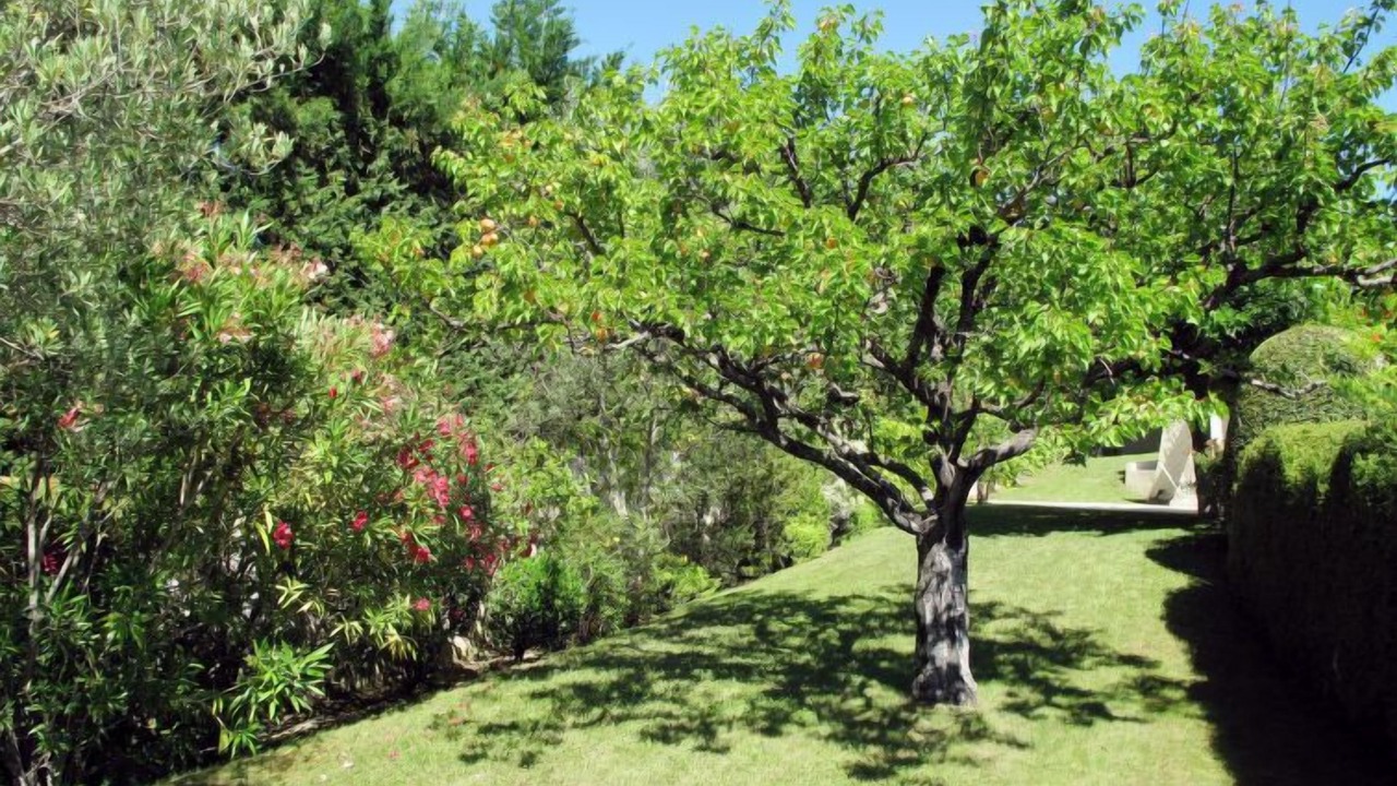 Photo of Outdoor in Vinsobres