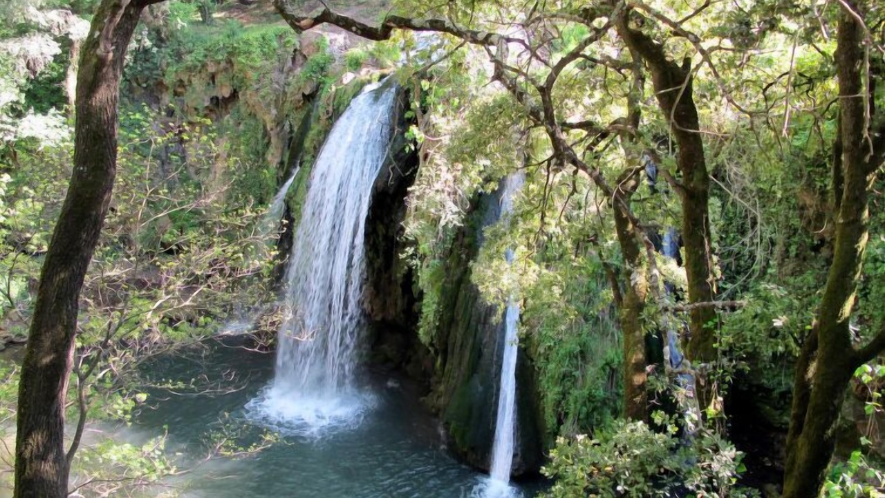 Photo of Outdoor in Montfort-sur-Argens
