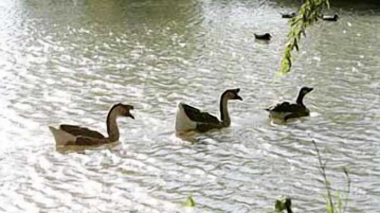 Photo of Outdoor in Alleins