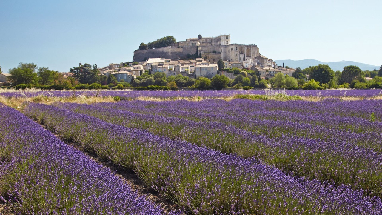 Photo of Others in Visan