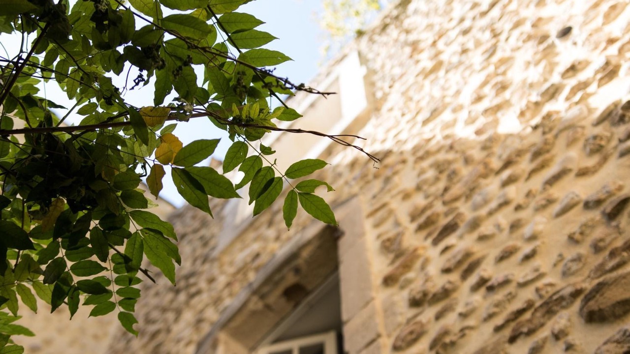 Photo of Outdoor in Visan