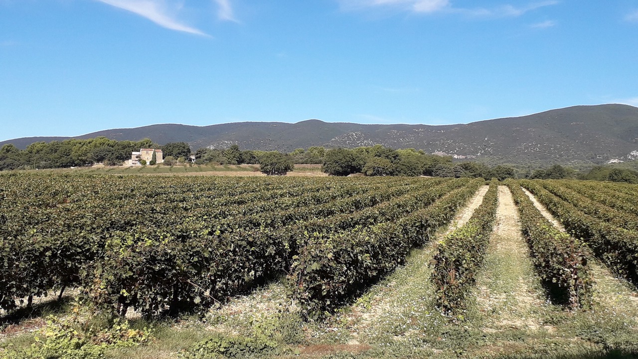 Photo of Outdoor in Cadenet