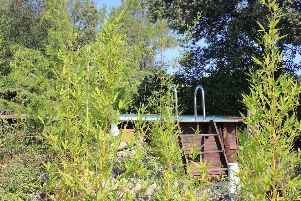 Photo of Outdoor in Saint-Maximin-la-Sainte-Baume