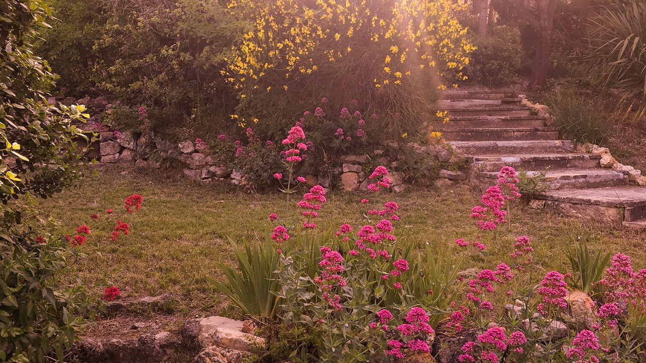 Photo of Outdoor in Le Barroux