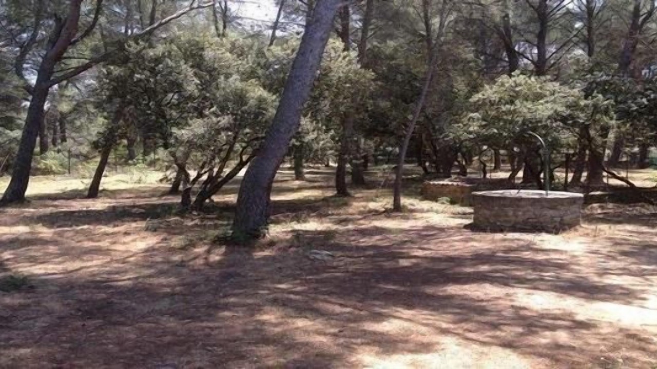 Photo of Outdoor in Grans