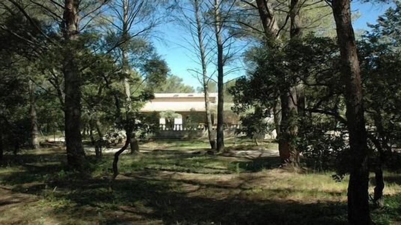 Photo of Outdoor in Grans