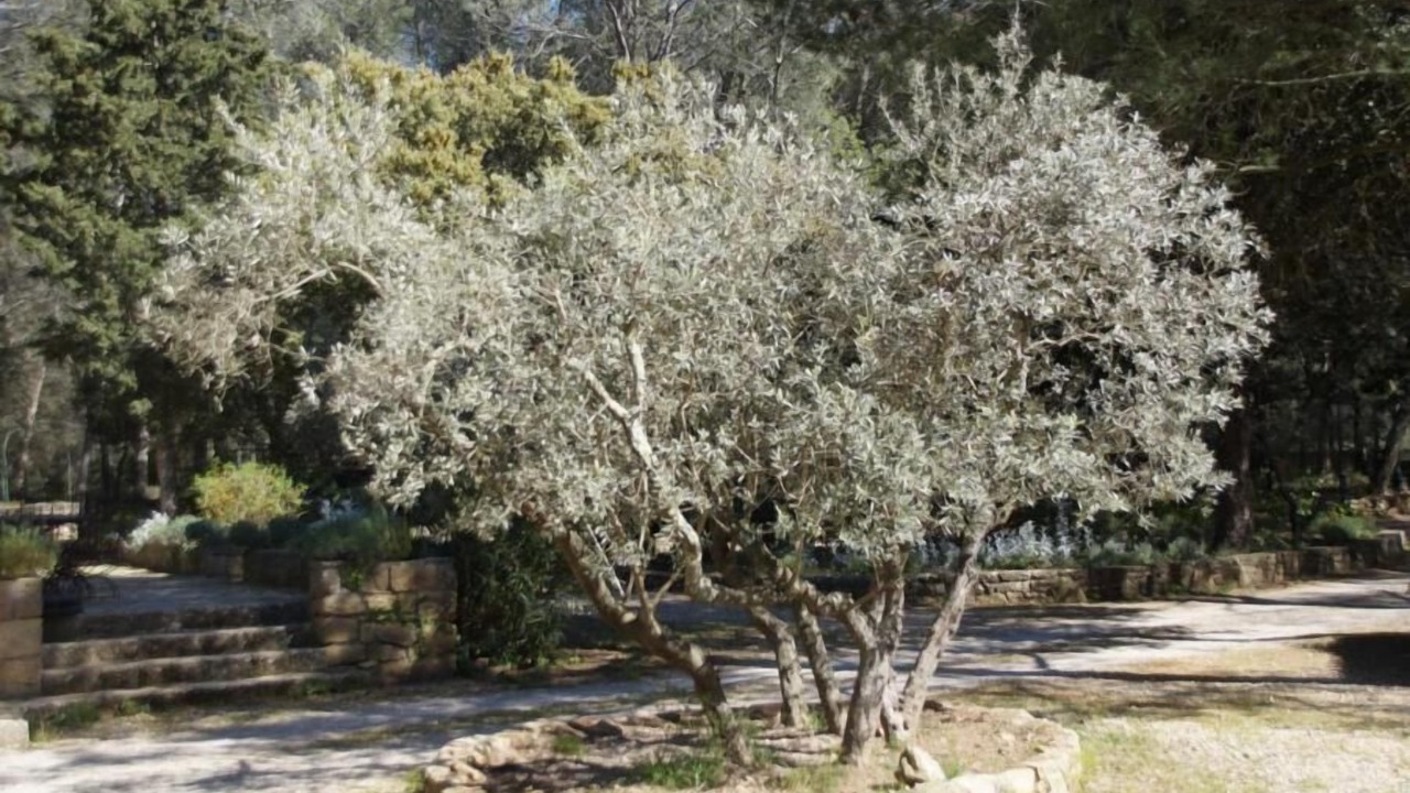 Photo of Outdoor in Grans