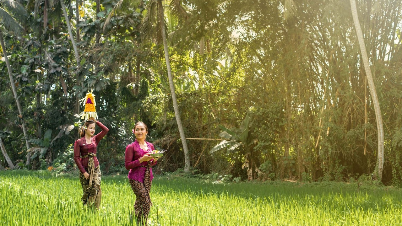 Photo of Outdoor in Ubud