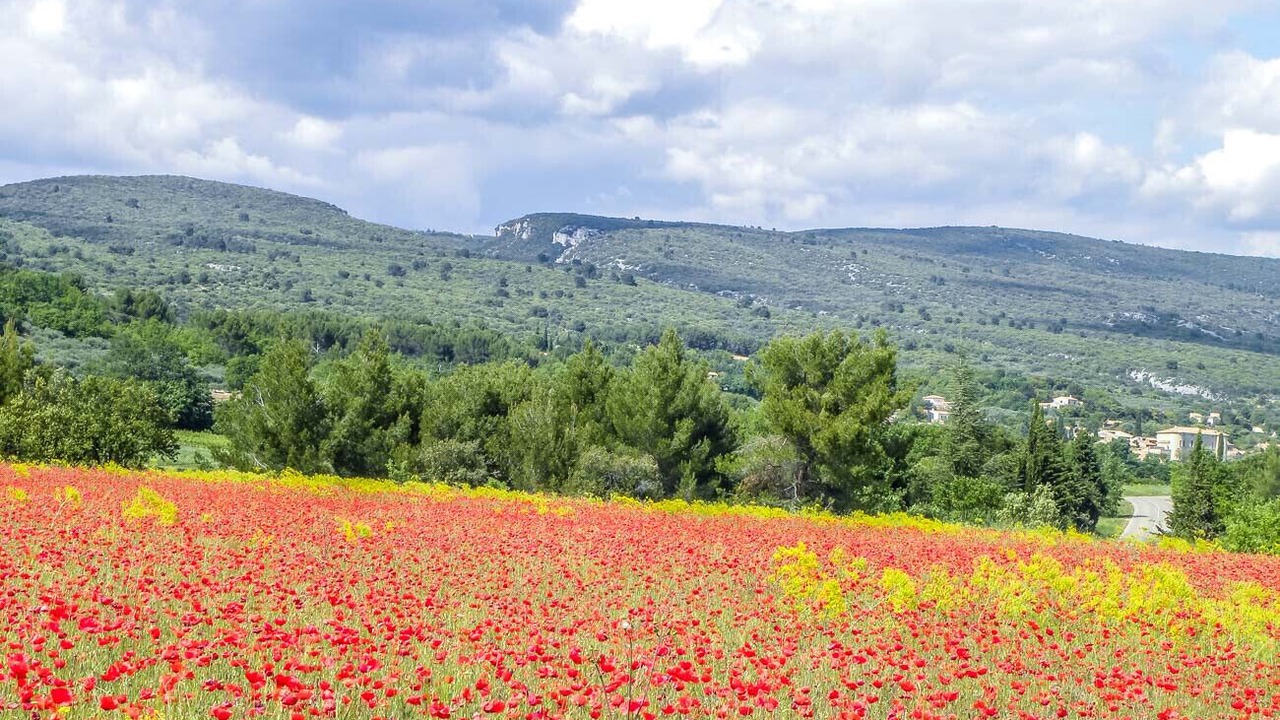 Photo of Outdoor in Lioux
