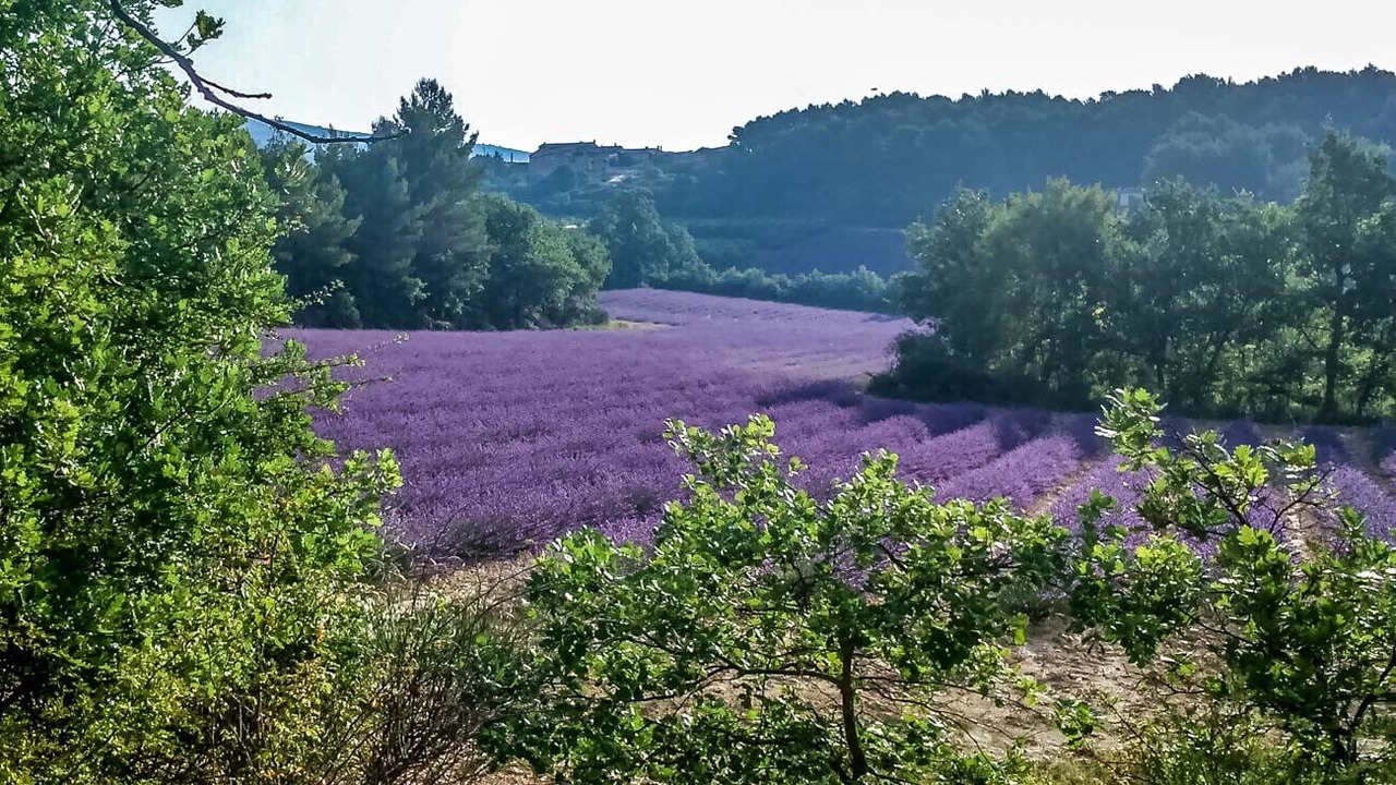 Photo of Outdoor in Lioux