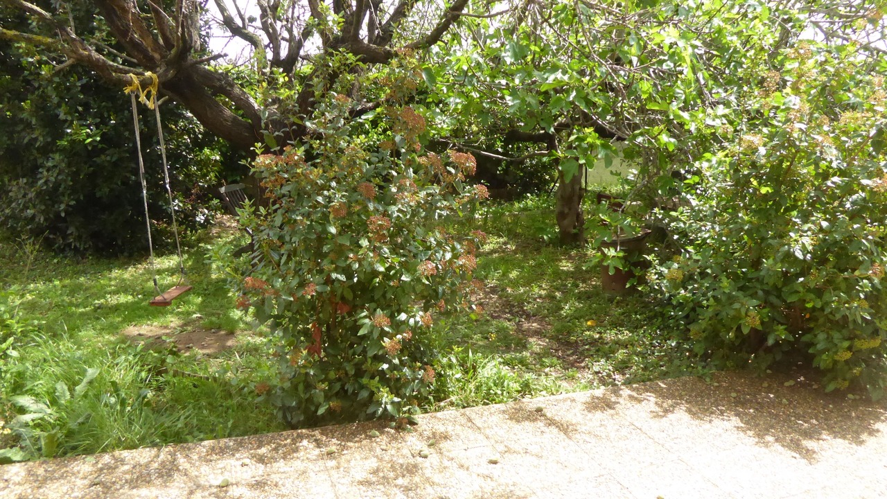Photo of Outdoor in Six-Fours-les-Plages