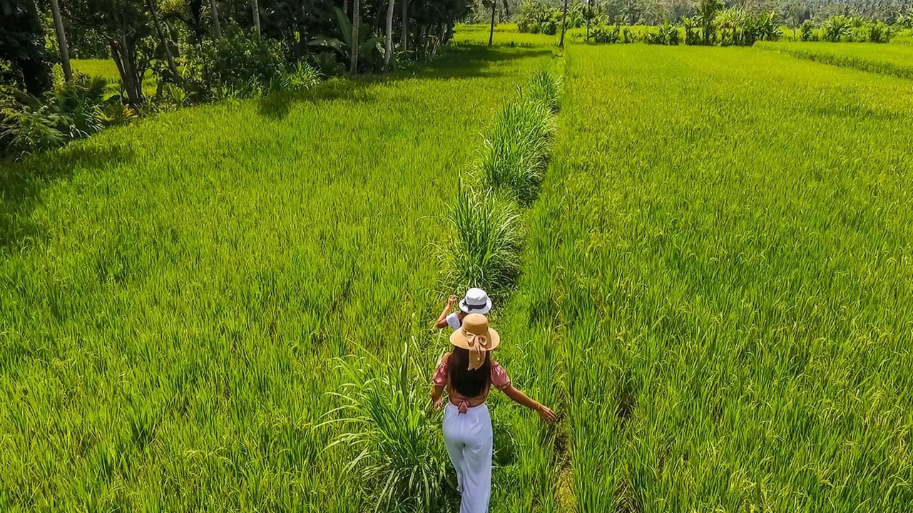 Photo of Outdoor in Carangsari