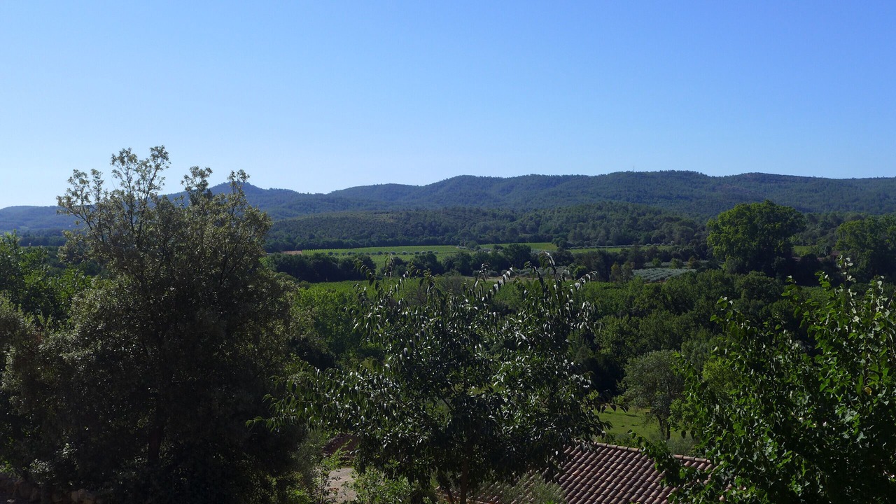 Photo of Others in Montfort-sur-Argens