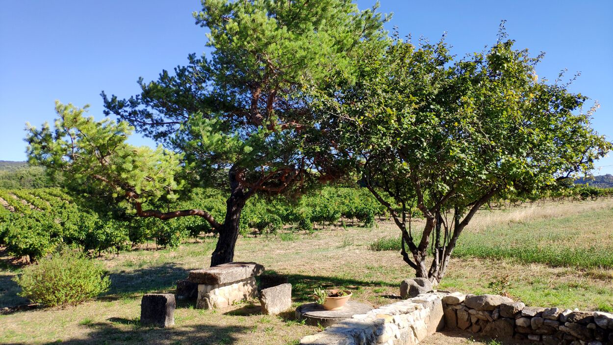 Photo of Outdoor in Valreas