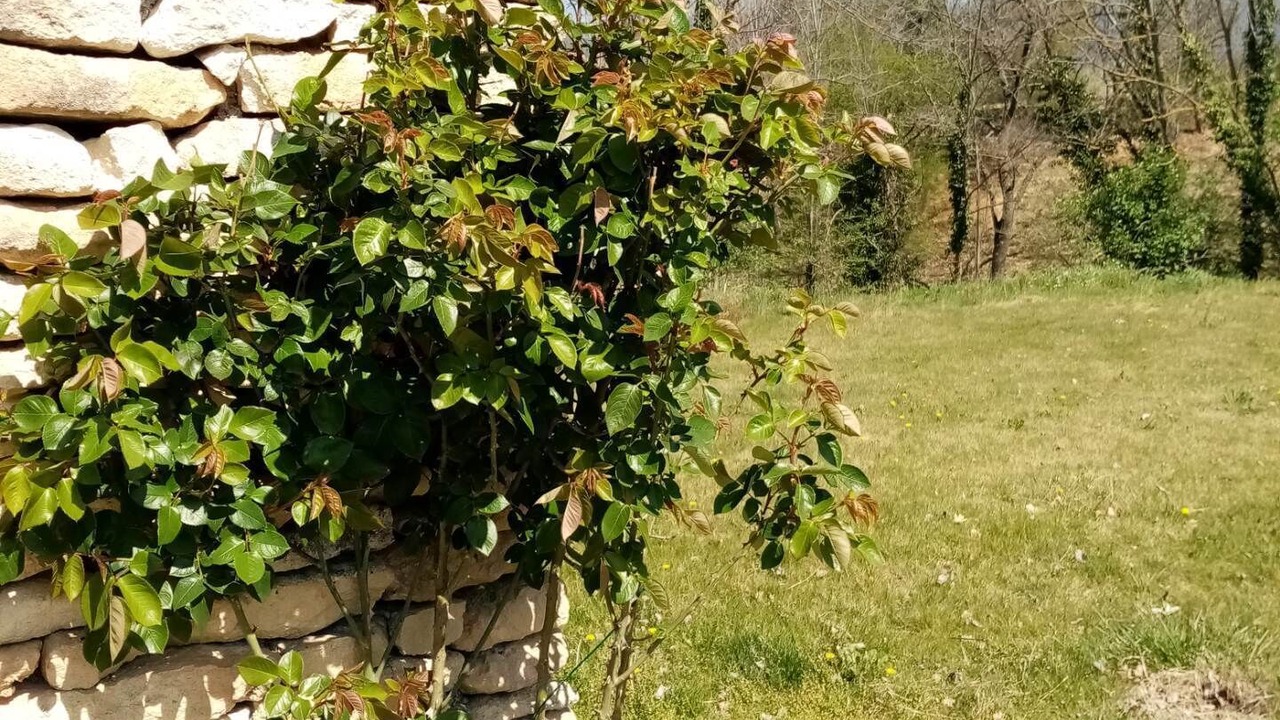 Photo of Outdoor in Villars
