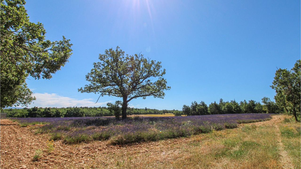 Photo of Outdoor in Sault