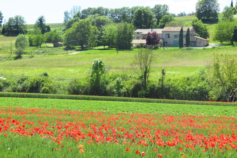 Photo of Outdoor in Forcalquier