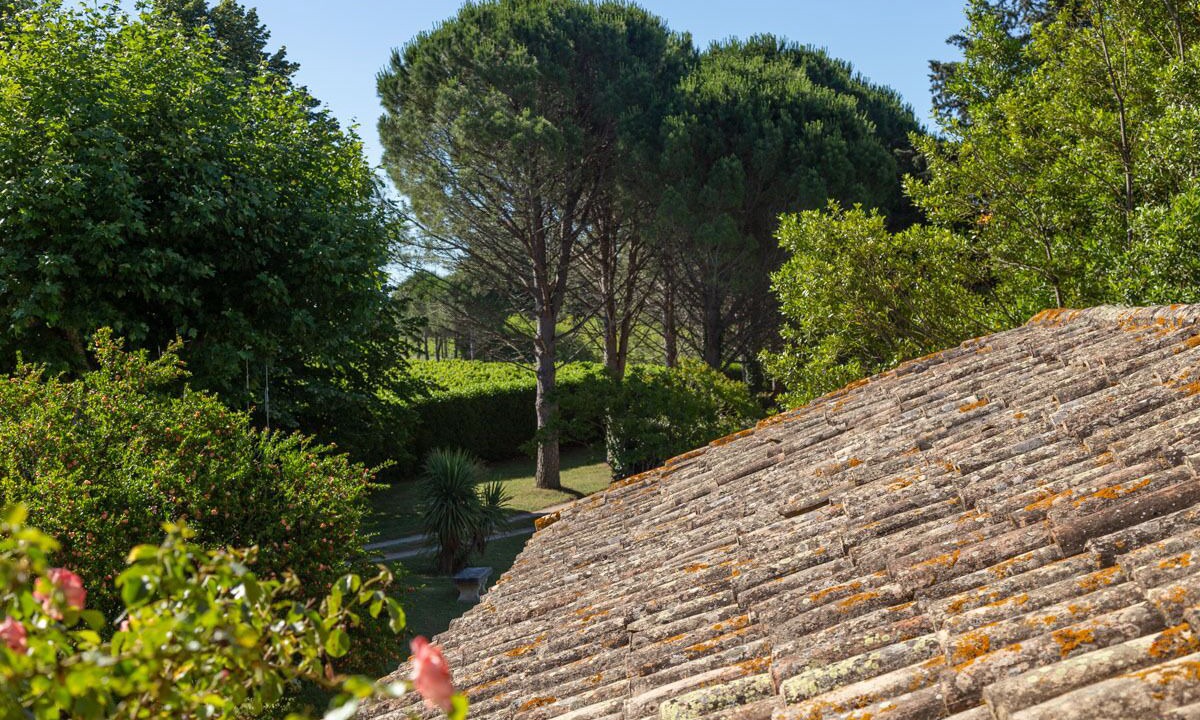 Photo of Outdoor in Courthezon