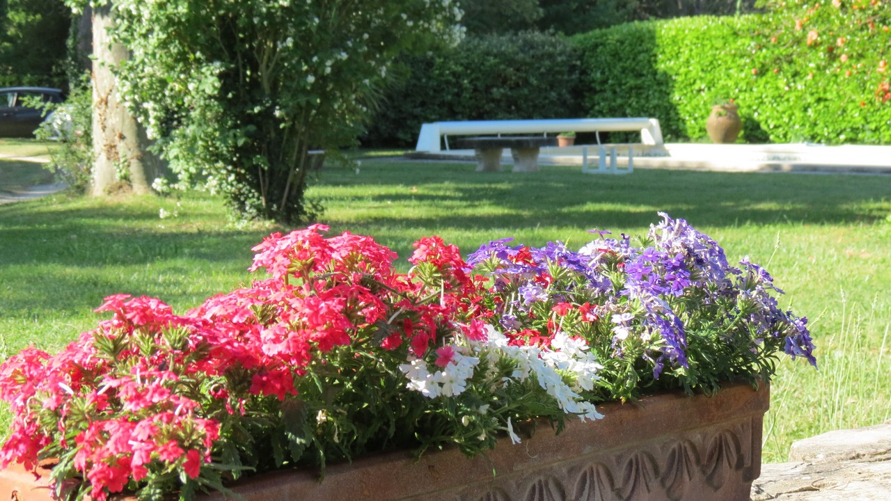 Photo of Outdoor in Courthezon