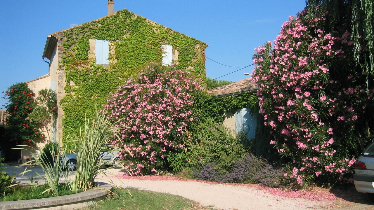 Photo of Outdoor in Courthezon