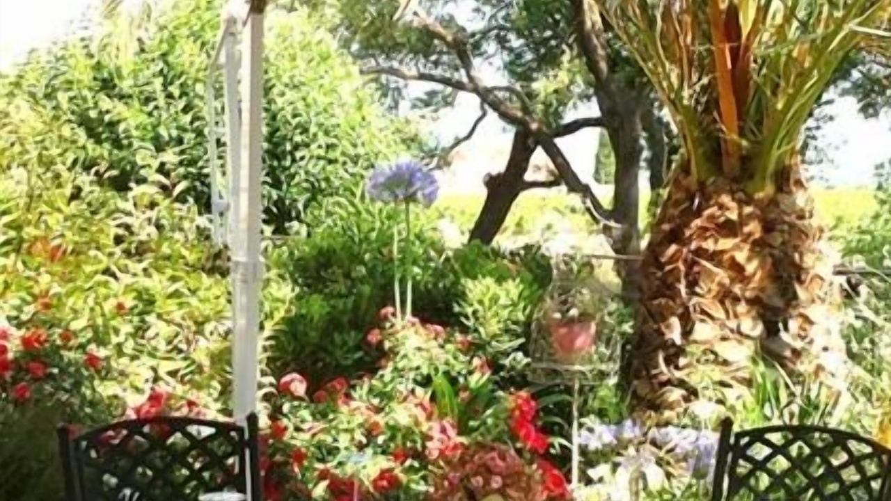 Photo of Outdoor in Cuers