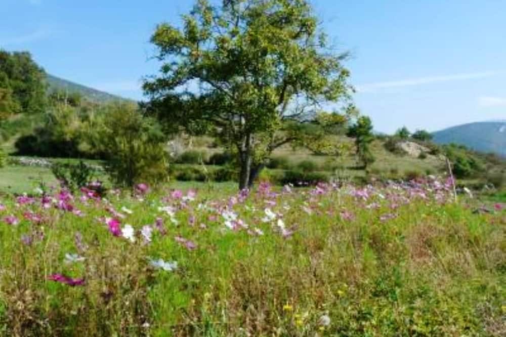 Photo of Others in Eygaliers