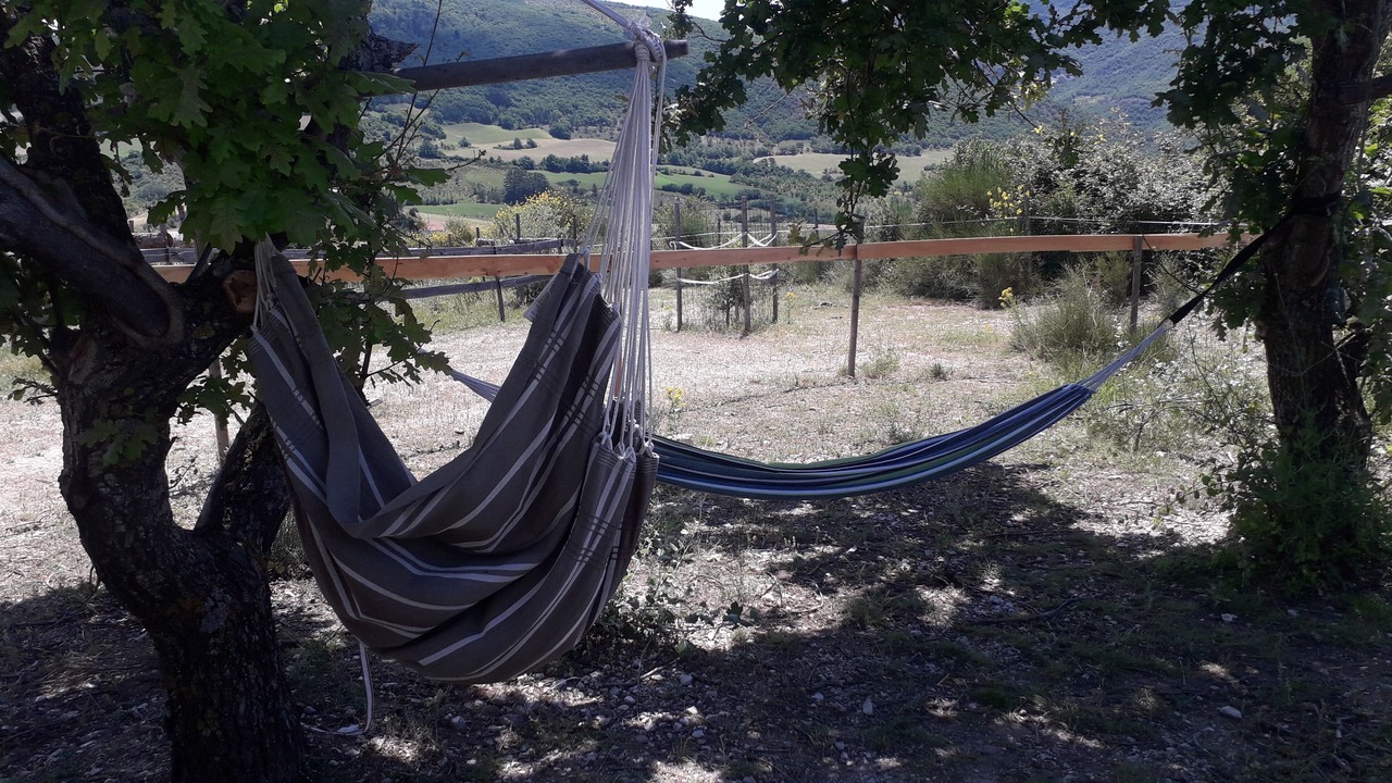 Photo of Outdoor in Sisteron