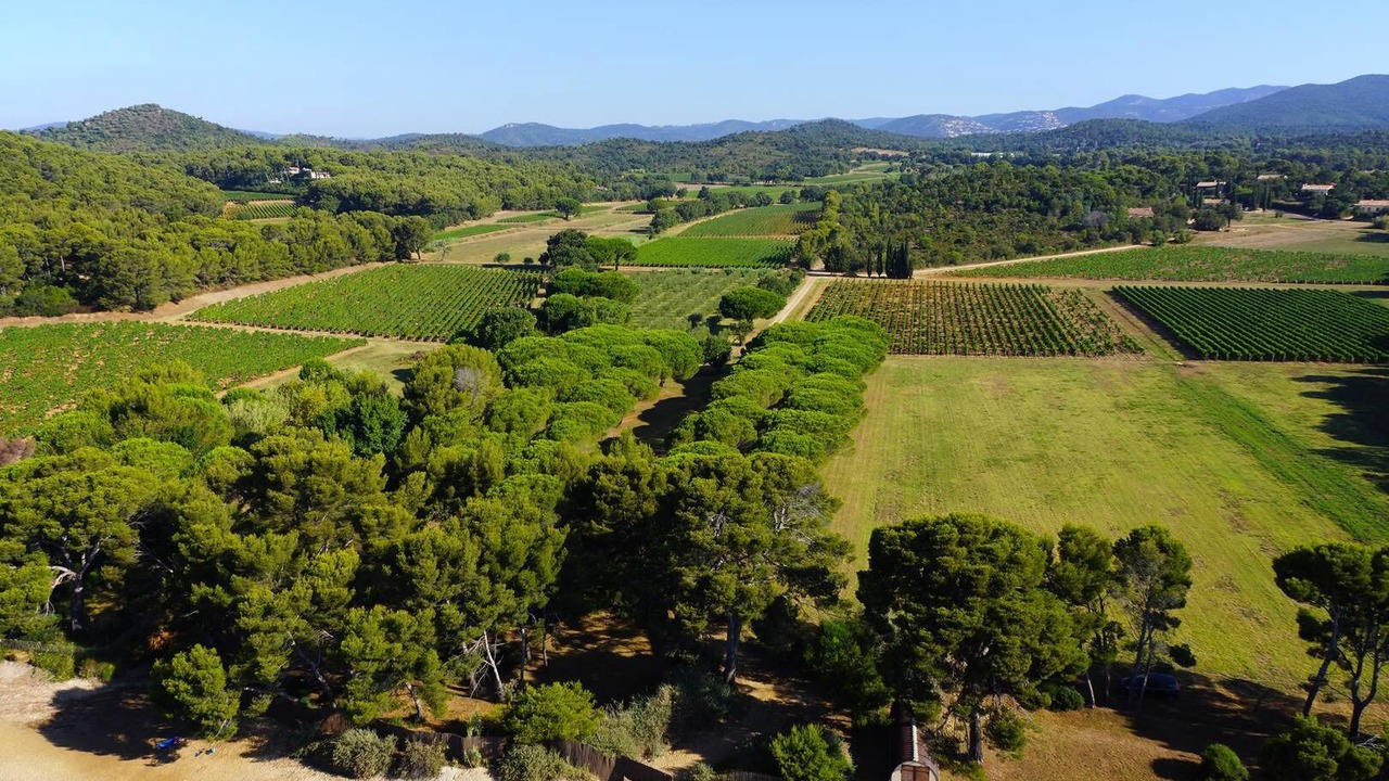 Photo of Outdoor in La Londe-les-Maures